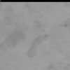 bild26-10-24 12-19-35-26
