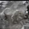bild26-10-24 13-29-56-61