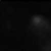 bild26-10-24 05-09-14-58