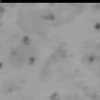 bild26-10-24 10-19-54-20