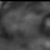 bild26-10-24 06-29-36-90
