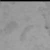 bild26-10-24 13-19-51-91