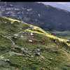 bild26-09-08 07-59-35-43